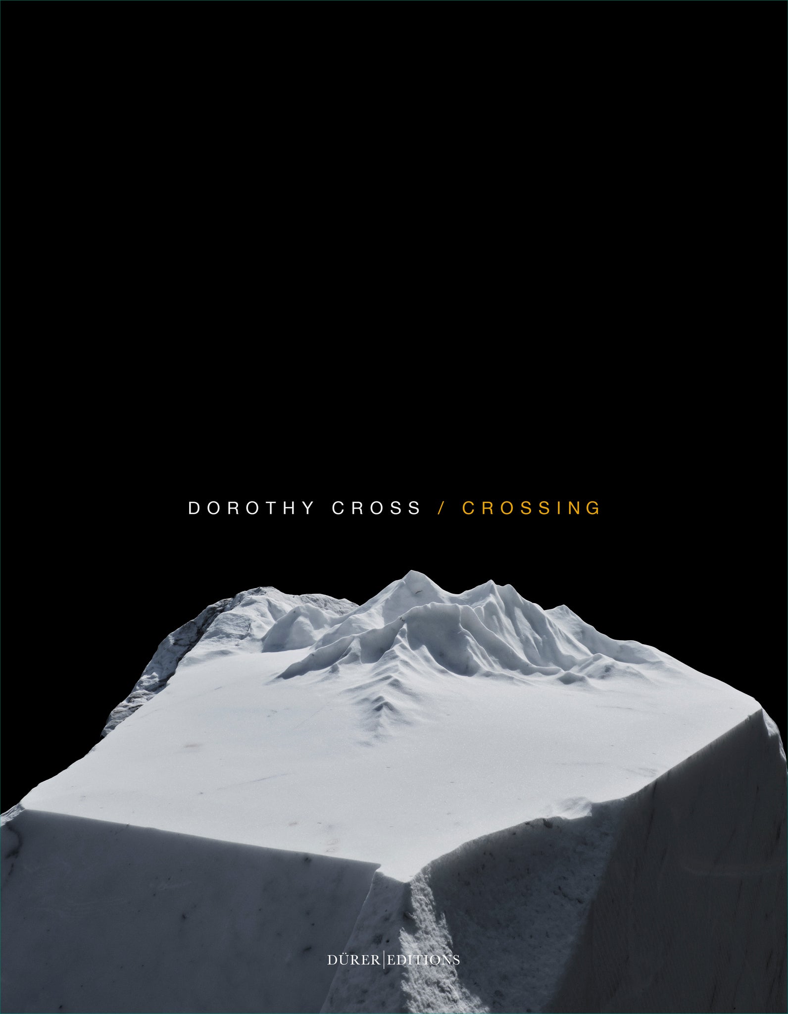 Dorothy Cross - Crossing