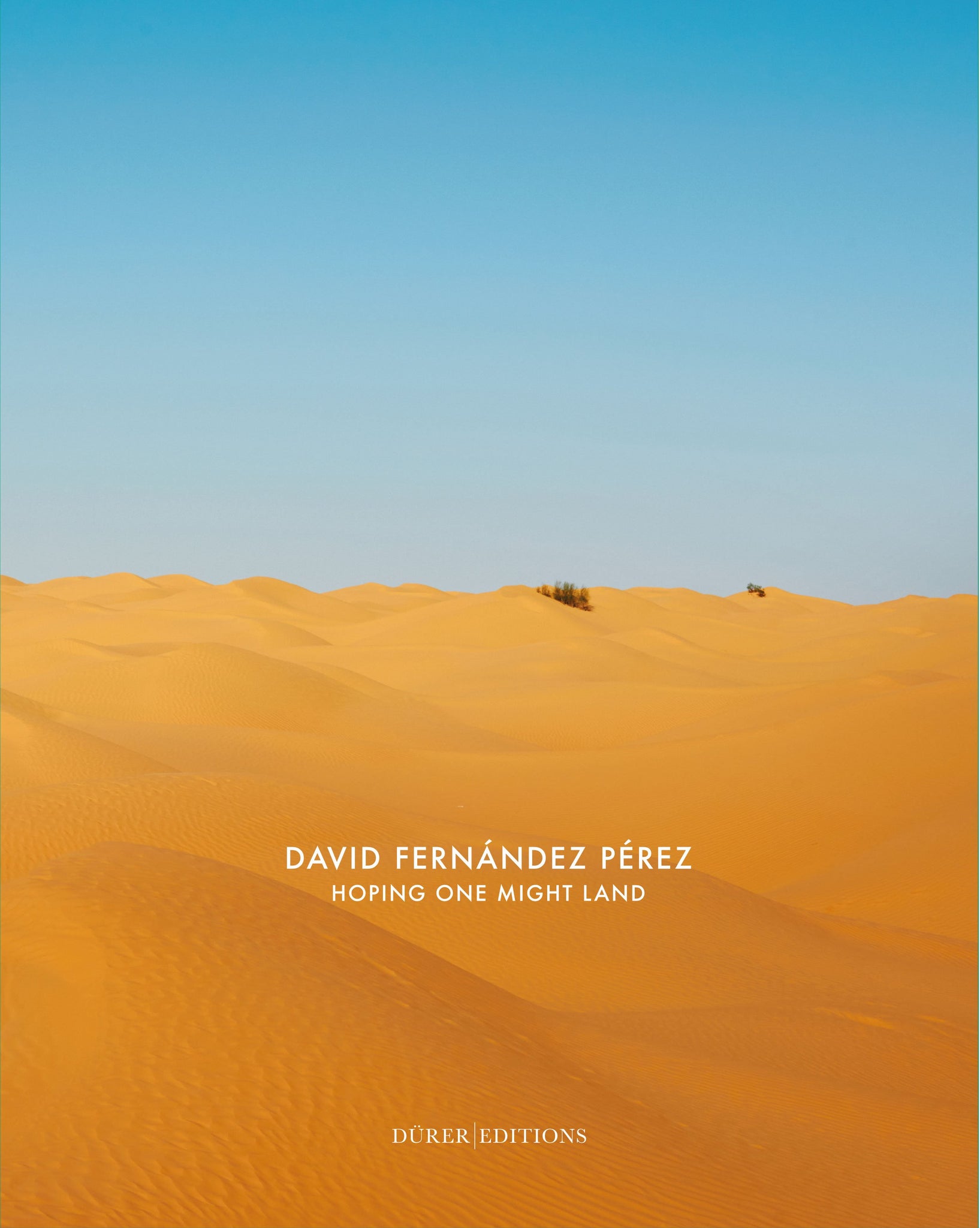 David Fernández Pérez - Hoping one might land